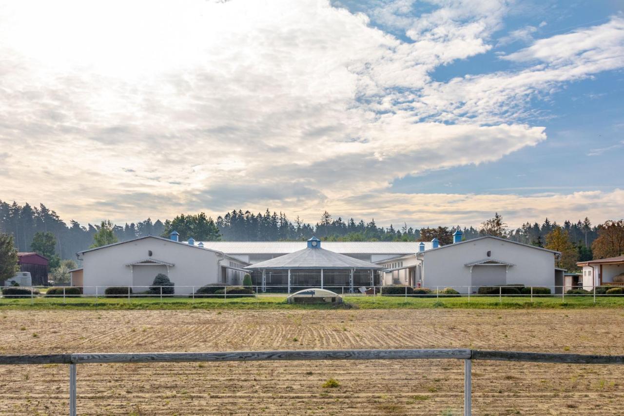 Farma Slunecny Dvur Apartmany A Family Stany Strecha Pod Strechou Hermanuv Mestec Экстерьер фото