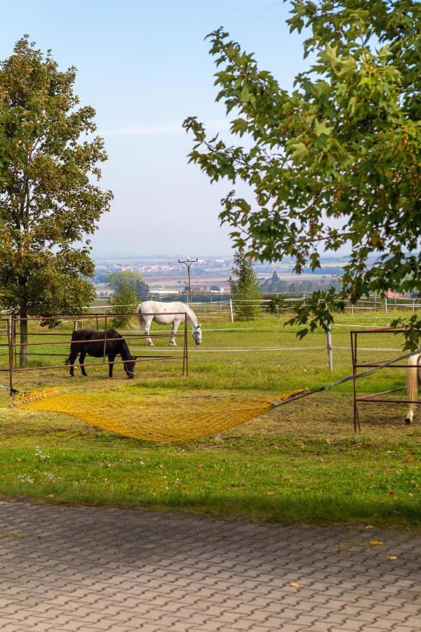 Farma Slunecny Dvur Apartmany A Family Stany Strecha Pod Strechou Hermanuv Mestec Экстерьер фото