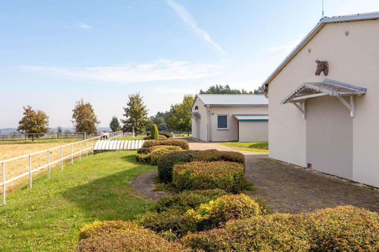 Farma Slunecny Dvur Apartmany A Family Stany Strecha Pod Strechou Hermanuv Mestec Экстерьер фото
